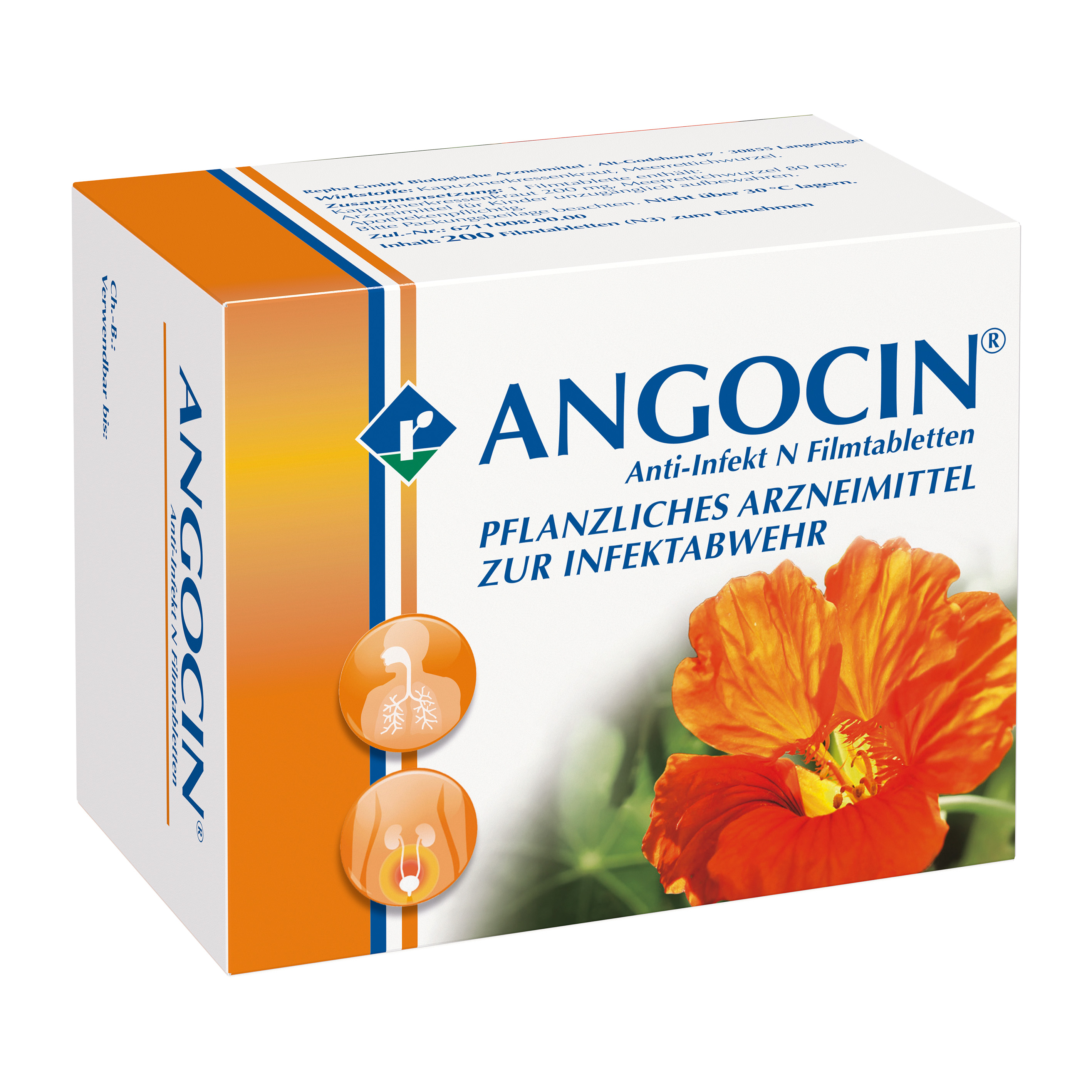 ANGOCIN Anti-Infekt N Filmtabletten