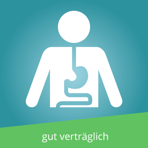 PARACETAMOL 500 mg Tabletten Bodfeld Apotheke