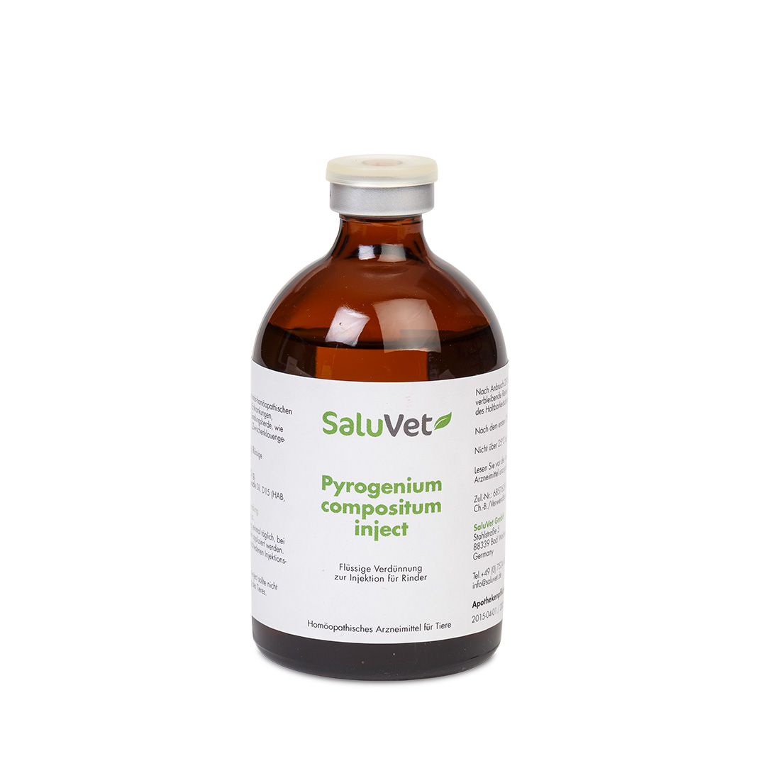 PYROGENIUM COMPOSITUM inject für Rinder